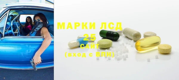 ГАЛЛЮЦИНОГЕННЫЕ ГРИБЫ Осинники