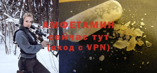 ГАЛЛЮЦИНОГЕННЫЕ ГРИБЫ Осинники