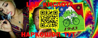 трава Камышлов