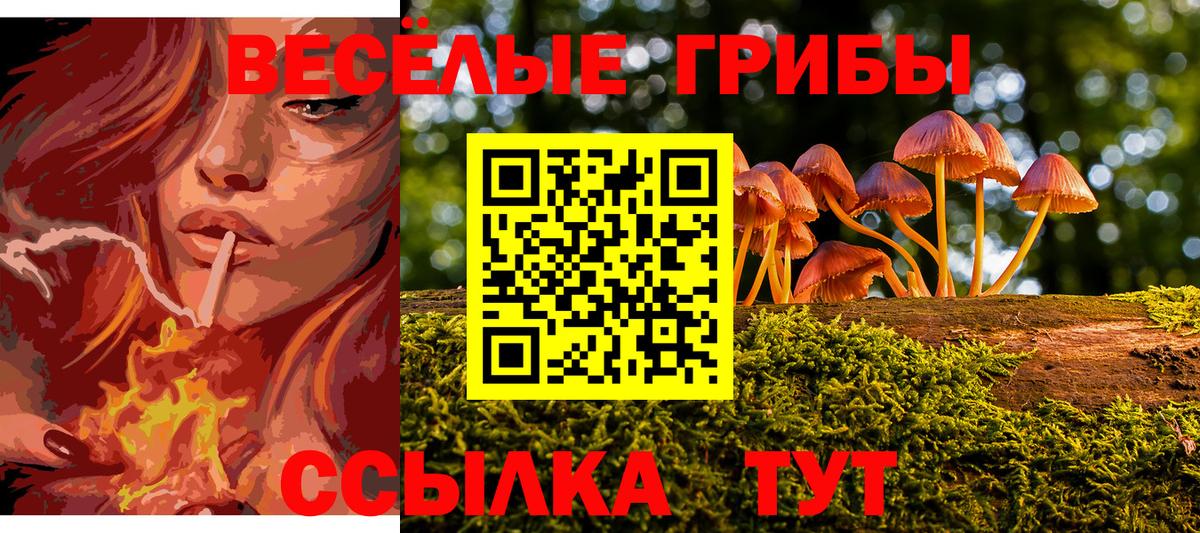 Псилоцибиновые грибы мицелий Курчалой