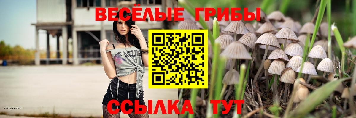 Галлюциногенные грибы Psilocybine cubensis  Вход с VPN  Курчалой 